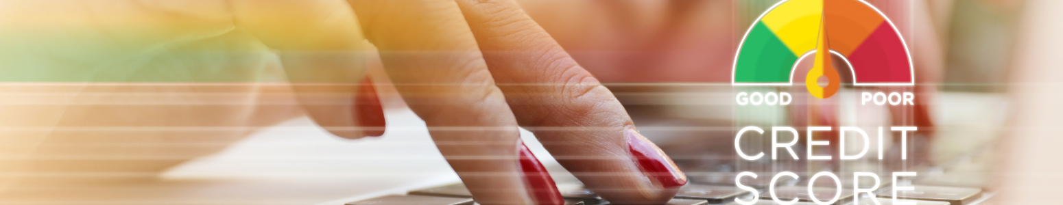 Free Credit Reports banner